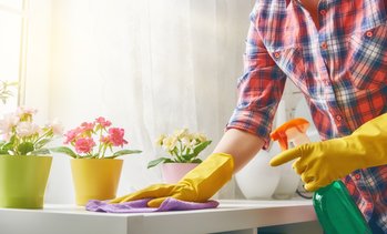 Professional Home Cleaning Services in Pinecrest FL