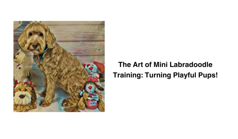 The Art of Mini Labradoodle Training Turning Playful Pups!