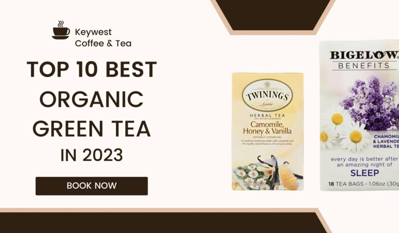Top 10 Best Organic Green Tea in 2023