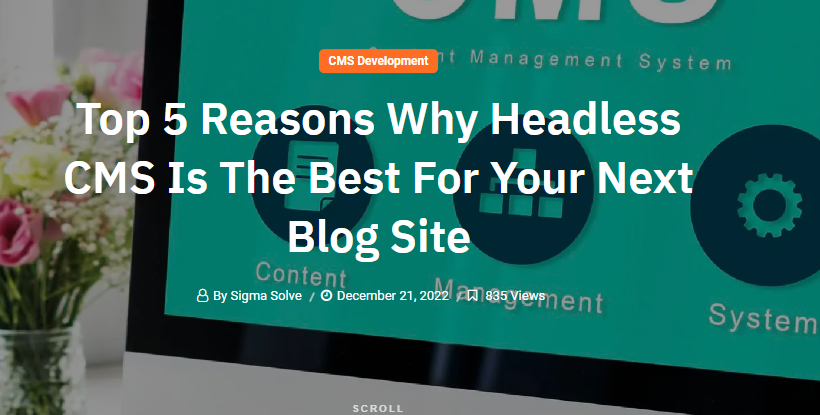 Top 5 Reasons Why Headless CMS Is The Best For Your Next Blog Site