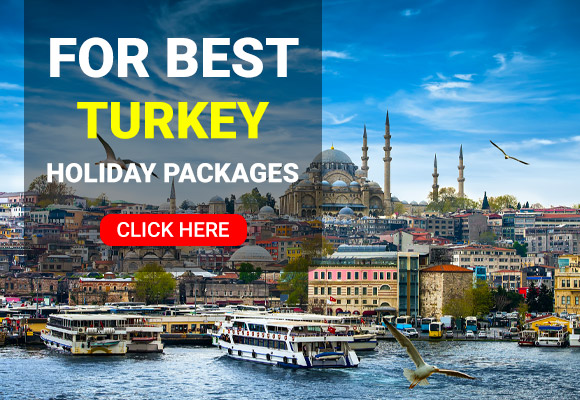 Turkey-LP-Mobile-Banner