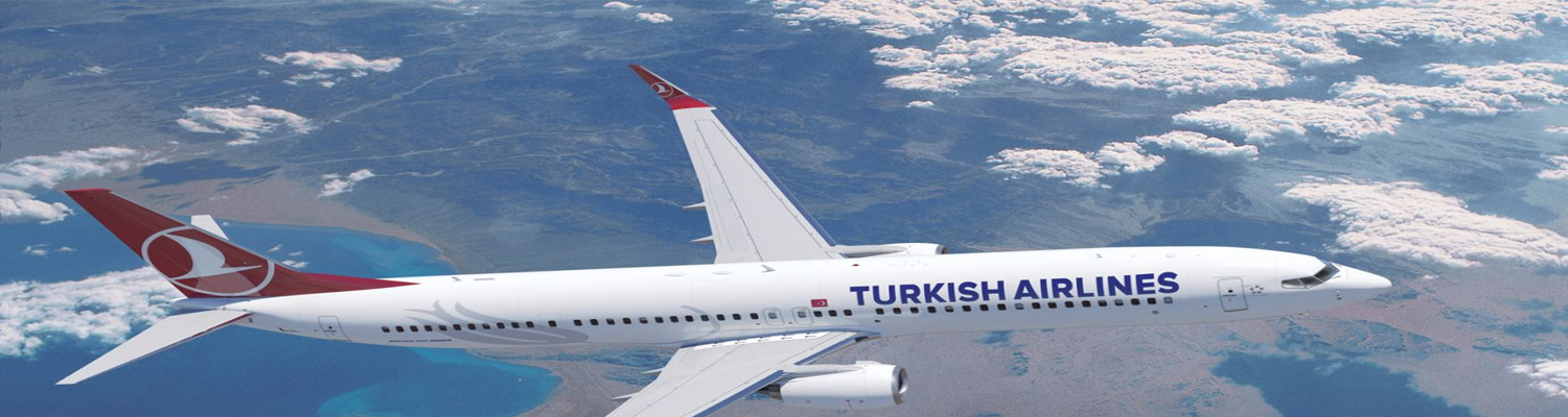 Turkish airlines telefono