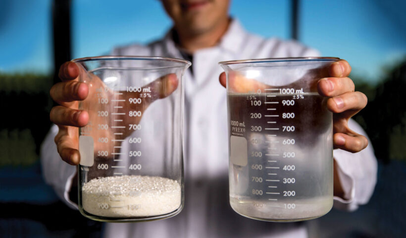 Water-Soluble Fertilizers Market