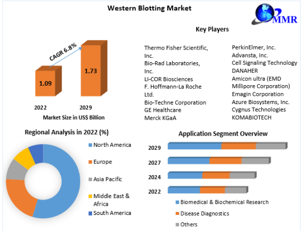 Western Blotting Market