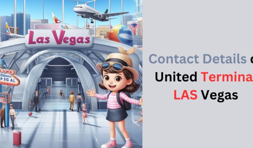 What are the contact details of United Terminal LAS Vegas