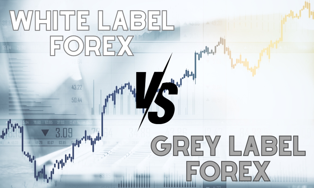 White label forex vs. Grey label forex