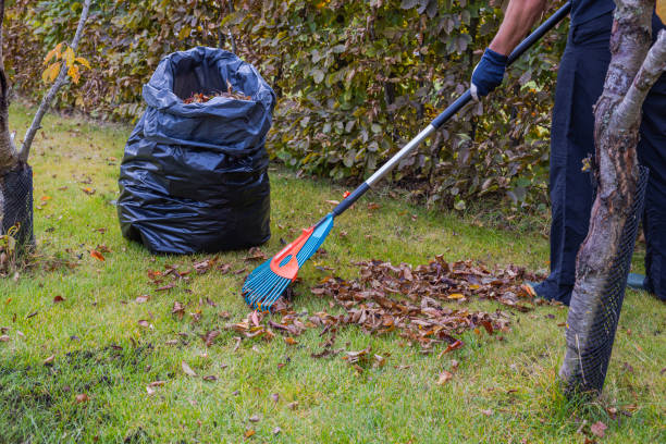 Yard Cleaning Services