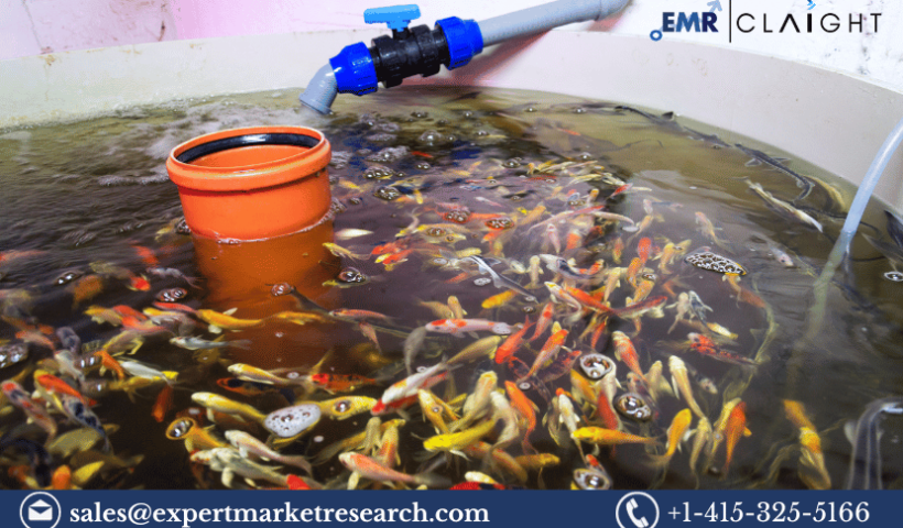 aquaculture-market