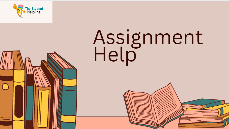 assignment help 2