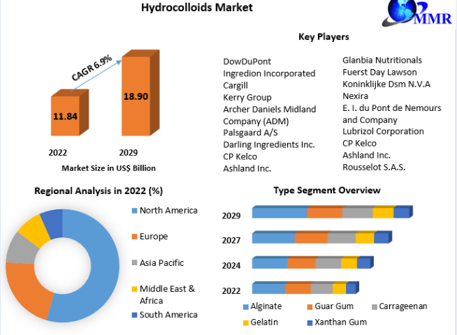Hydrocolloids Market