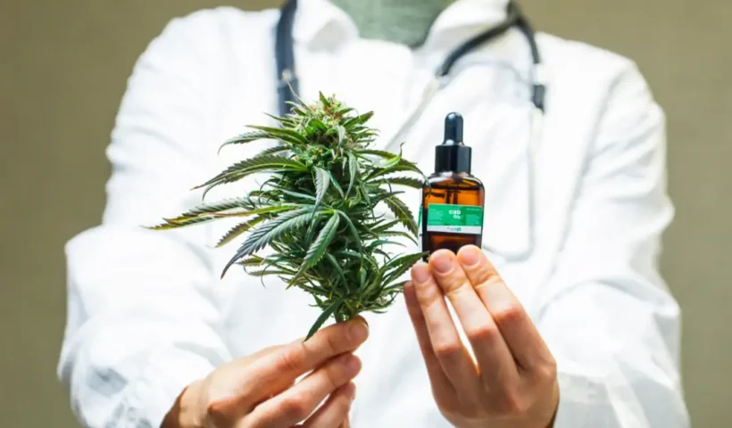 Your Body's Natural CBD Receptor Network
