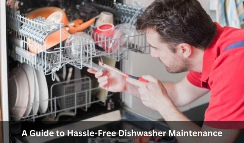 A Guide to Hassle-Free Dishwasher Maintenance