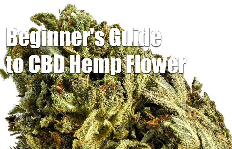 Beginners-Guide-to-CBD-Hemp-Flower