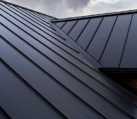 Best Metal Roofing Services in Elkton MD