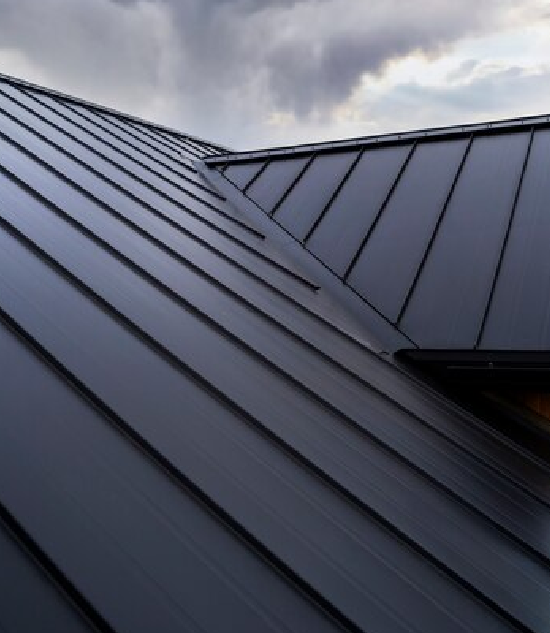 Best Metal Roofing Services in Elkton MD