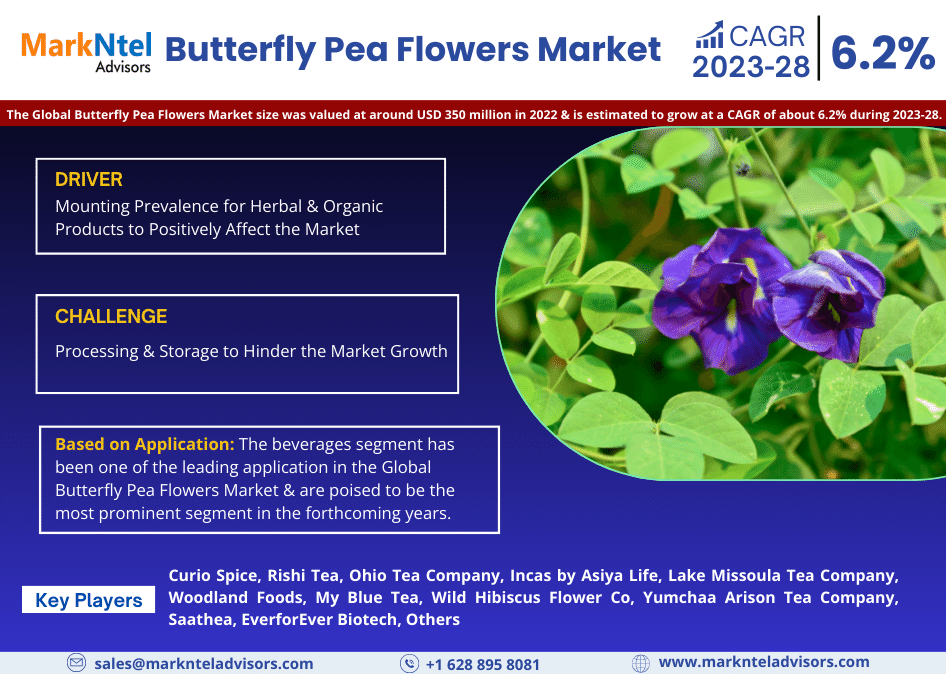 Butterfly_Pea_Flowers_Market_