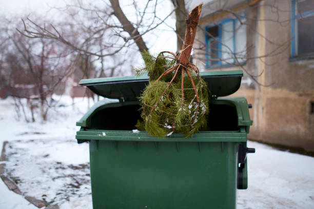 How To Dispose of A Christmas Tree?