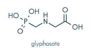 Glyphosate Market