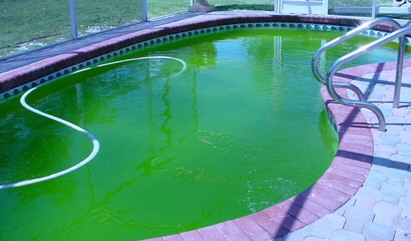 Green Pool Cleanups in French Valley FL