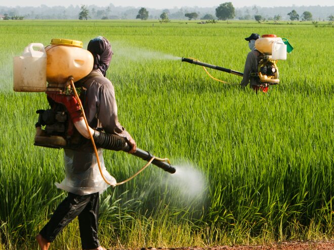 Indian Pesticides Market