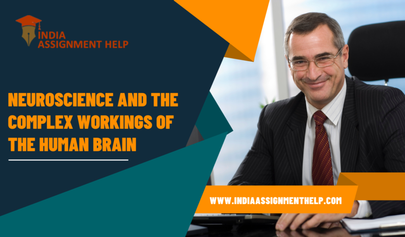 Neuroscience and the Complex Workings of the Human Brain