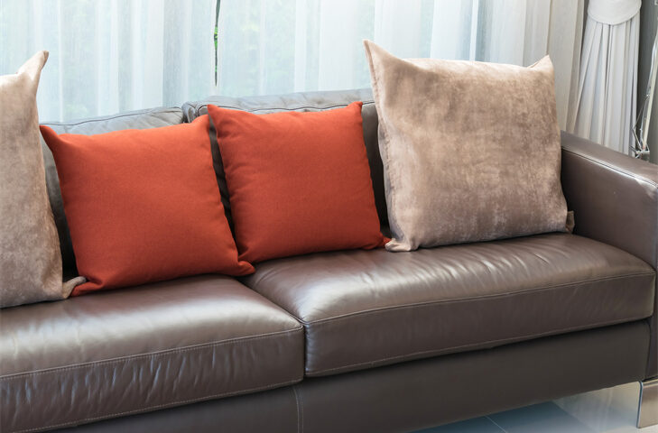Preserving Elegance: A Deep Dive into Leather Sofa Cleaners
