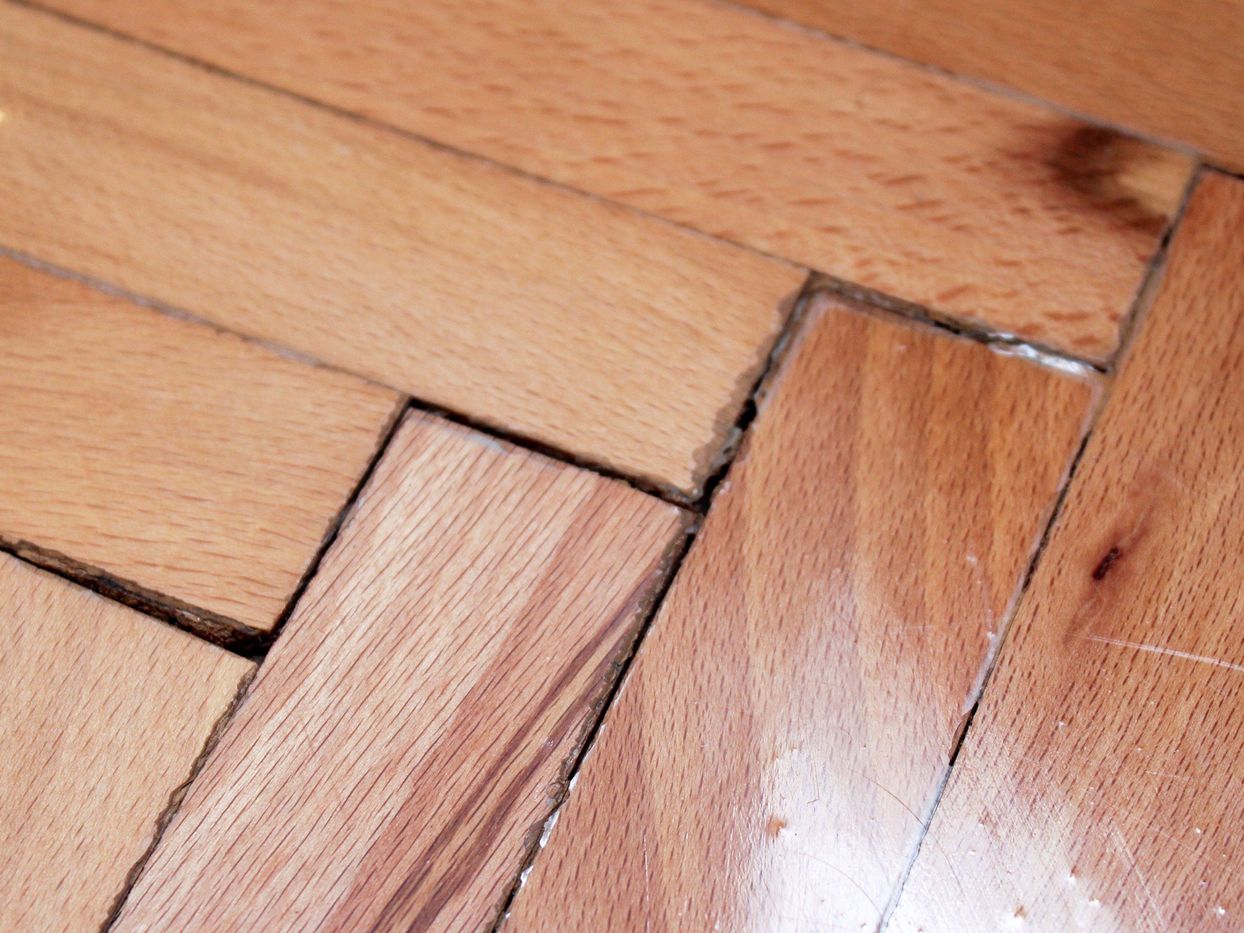 Repair-Cracks-in-Wood-Floors-