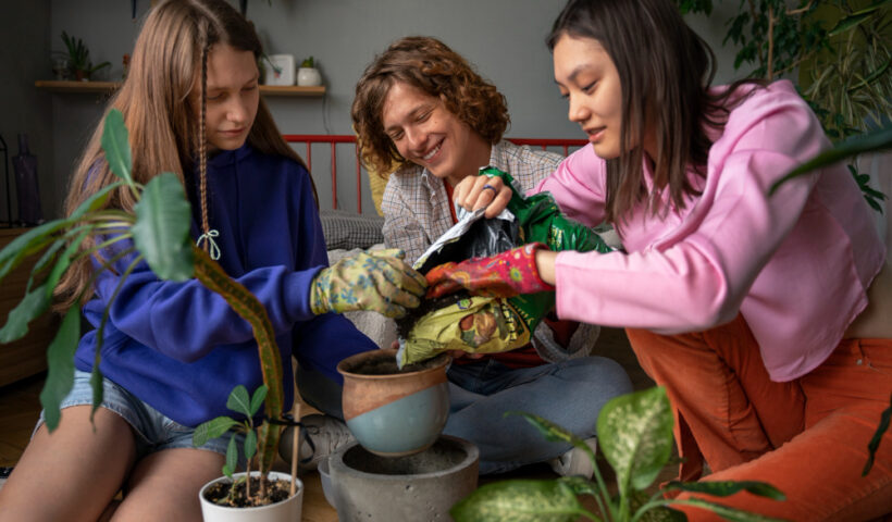 Terrarium Team Building