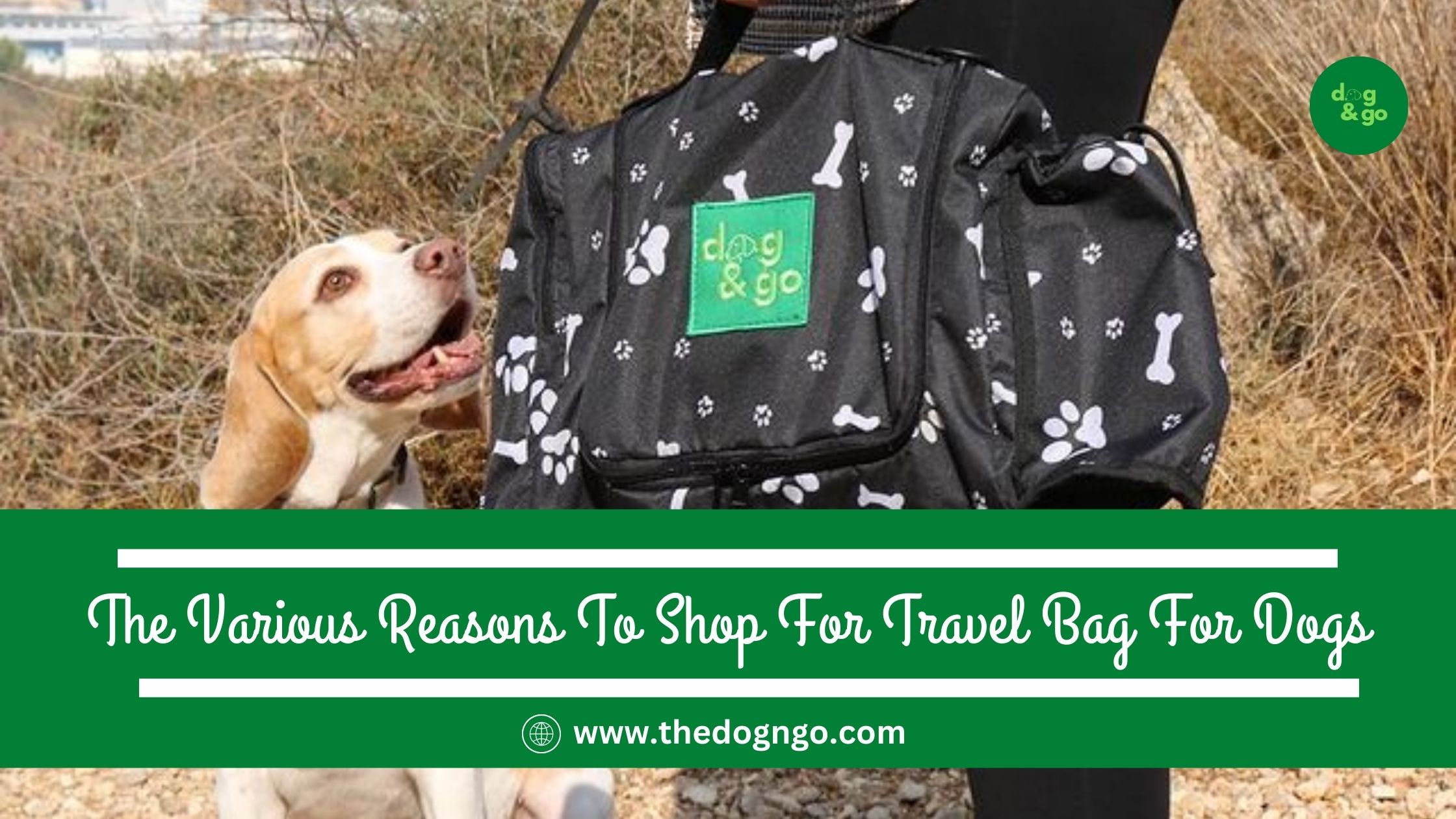 The Various Reasons To Shop For Travel Bag For Dogs