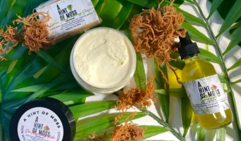 Untitled design - 2023-12-26T104101.640