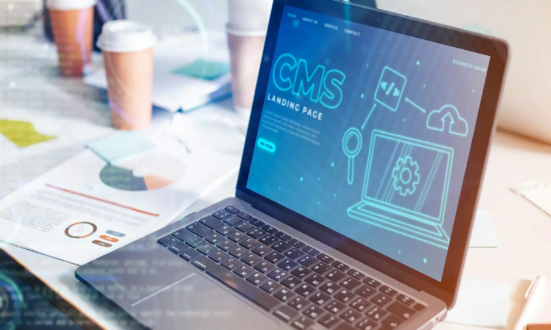 Which-CMS-Platform-is-Right-for-My-Company