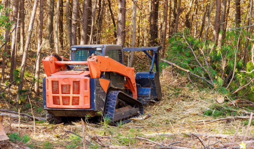 forestry mulching