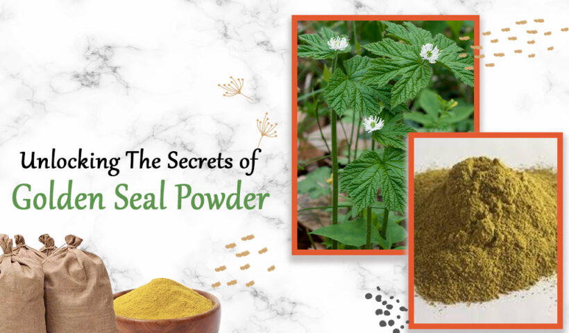 Explore the rich history and modern significance of Golden Seal Powder, an herbal treasure rooted in traditional healing practices.