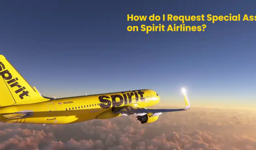 how-do-i-request-special-assistance-on-spirit-airlines
