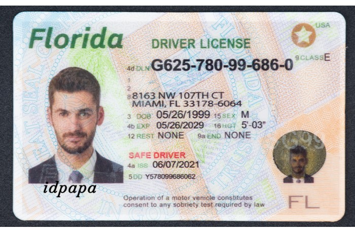 Best Fake Driving License