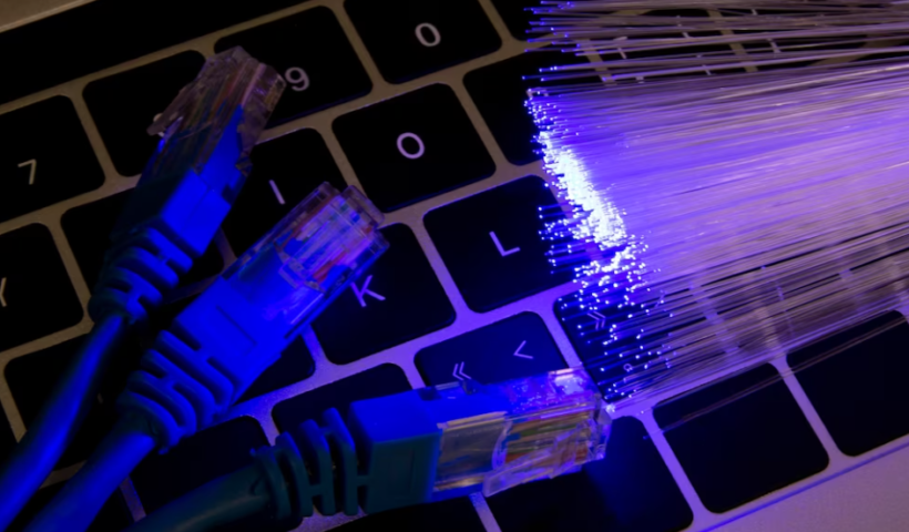 Cat6 Plenum 1000ft