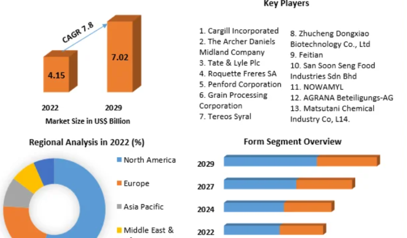 Maltodextrin Market