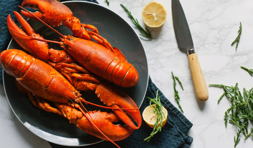 Lobster Market Analysis