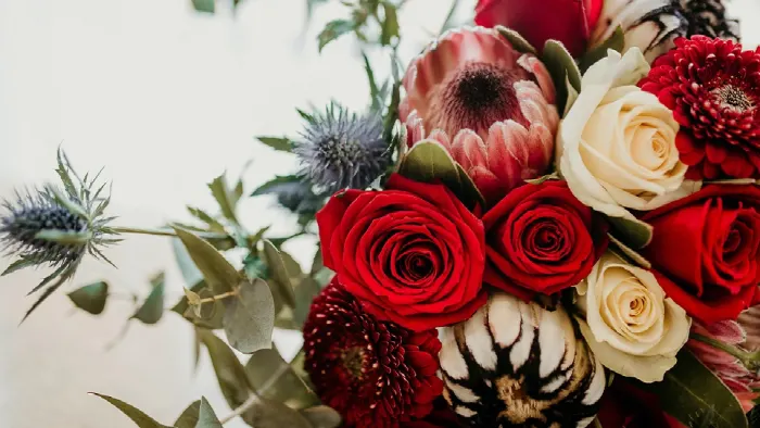 Send Valentine Roses Online To Win Your Beloved’s Heart