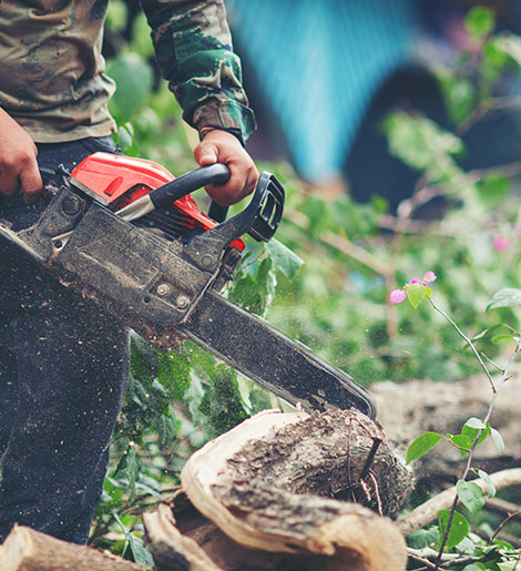 Tree Trimming Services