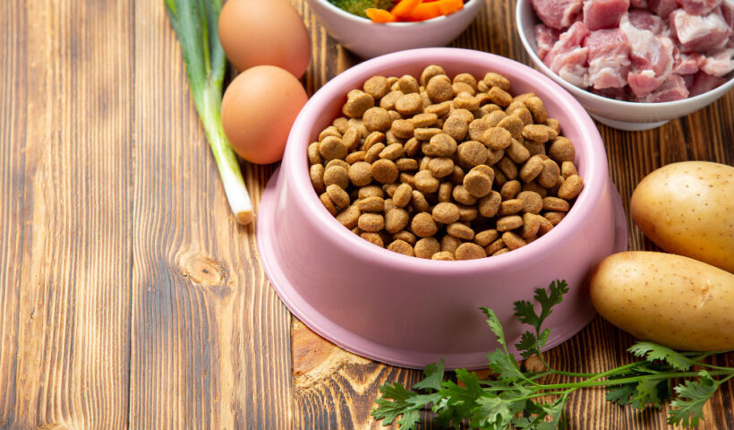 The Importance of a Healthy Diet For Dogs