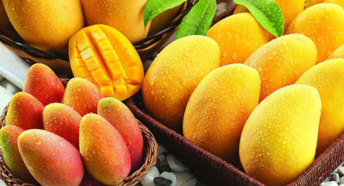 Mango export india to uk