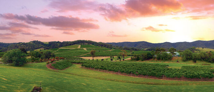 5 Frequently Asked Questions about Wine Club Subscriptions in Australia