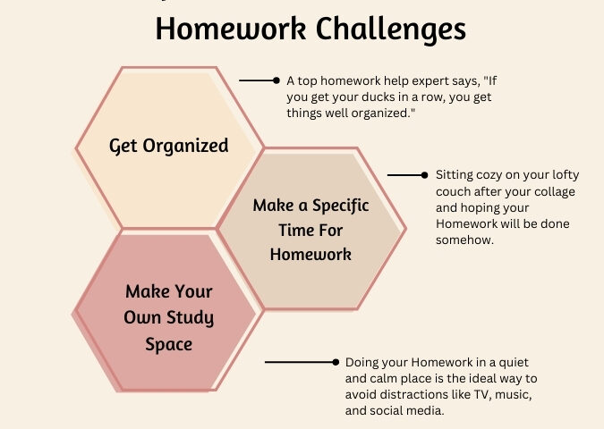top homework help expert