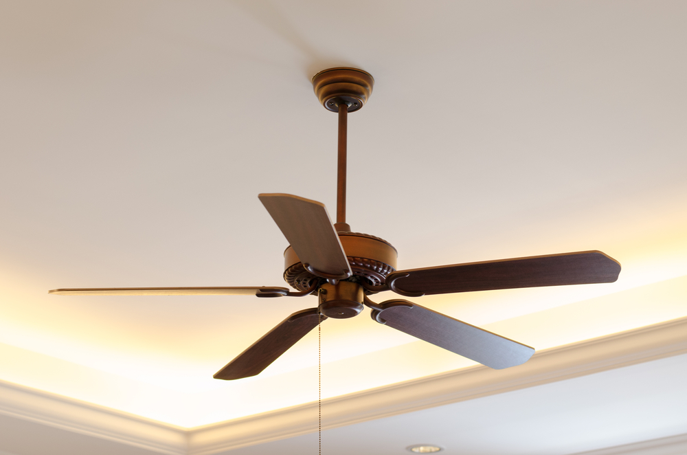 Ceiling Fan